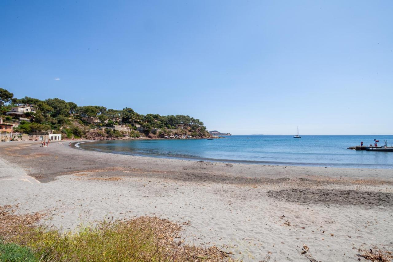 T2 - La Seyne Sur Mer - Fabregas ภายนอก รูปภาพ